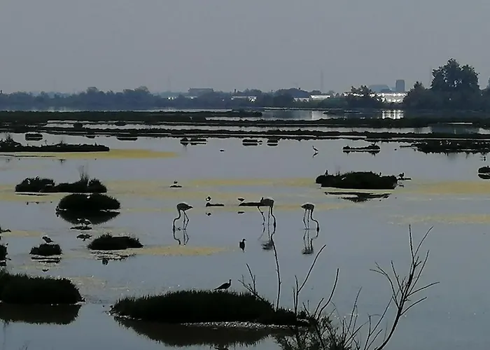 Orizzonte Marino Blu-Vacanza Ricca Di Colori